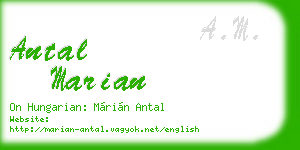 antal marian business card